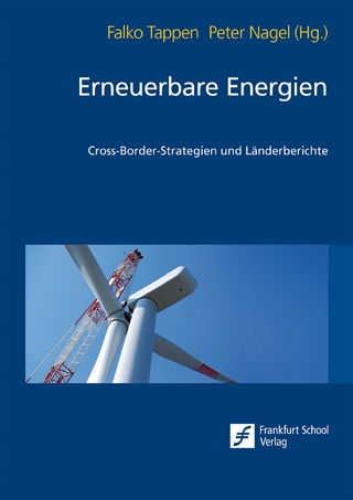 Erneuerbare Energien - Peter Nagel; Falko Tappen