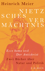 Nietzsches Vermächtnis - Heinrich Meier