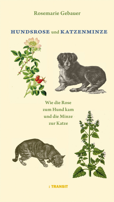 Hundsrose und Katzenminze - Rosemarie Gebauer