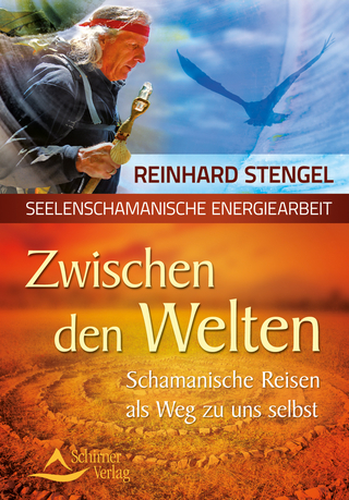 Zwischen den Welten - Reinhard Stengel