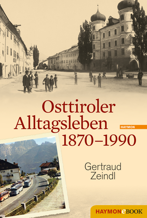 Osttiroler Alltagsleben 1870-1990 -  Gertraud Zeindl