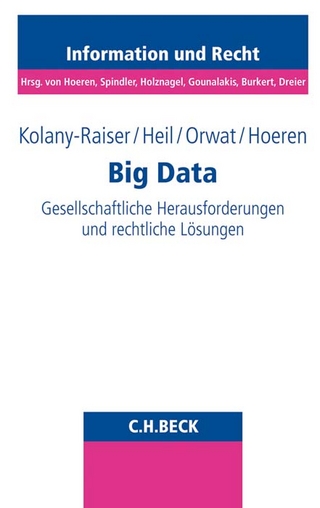 Big Data - Barbara Kolany-Raiser; Reinhard Heil; Carsten Orwat; Thomas Hoeren