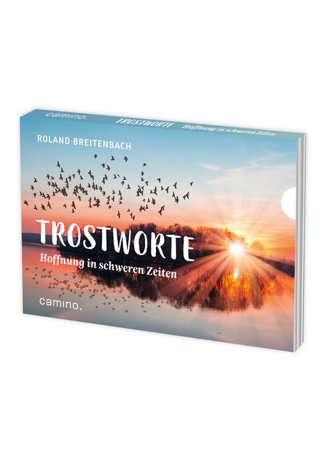 Trostworte - Roland Breitenbach