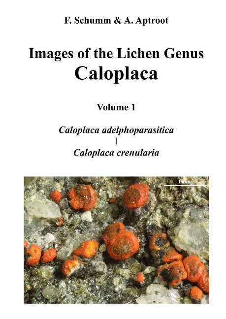 Images of the Lichen Genus Caloplaca, Vol 1 - Felix Schumm