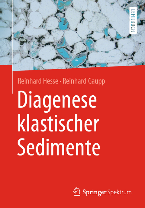 Diagenese klastischer Sedimente - Reinhard Hesse, Reinhard Gaupp