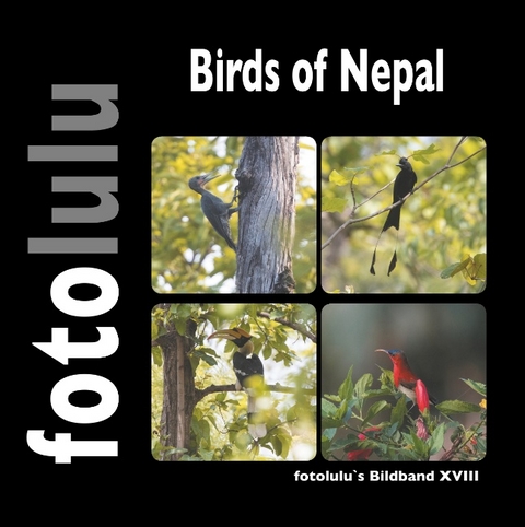 Birds of Nepal -  fotolulu