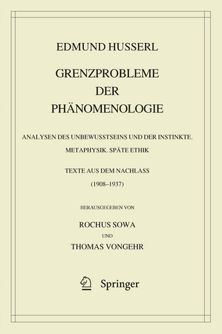 Grenzprobleme der Phänomenologie - Edmund Husserl; Rochus Sowa; Thomas Vongehr