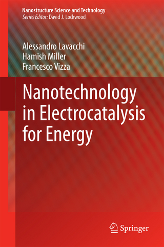 Nanotechnology in Electrocatalysis for Energy - Alessandro Lavacchi; Hamish Miller; Francesco Vizza