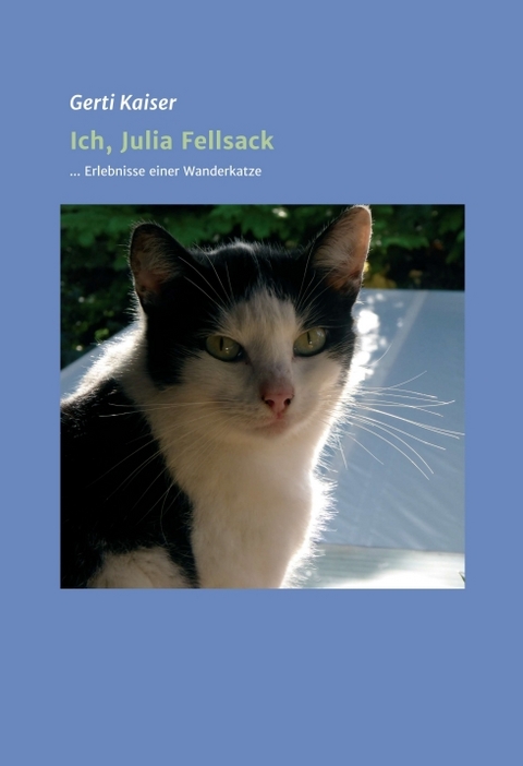 Ich, Julia Fellsack - Gerti Kaiser