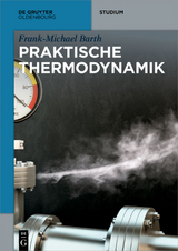Praktische Thermodynamik - Frank-Michael Barth
