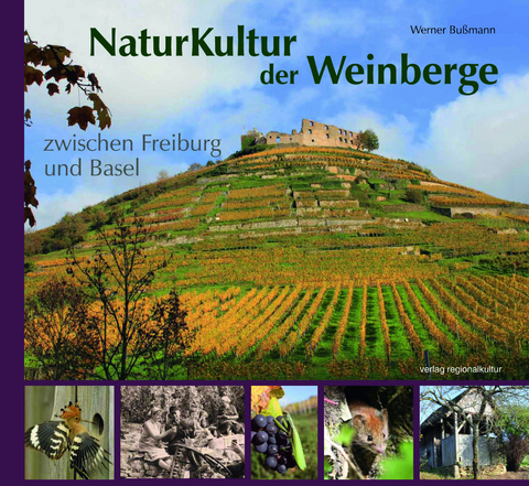 NaturKultur der Weinberge zwischen Freiburg und Basel - Werner Bußmann