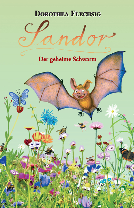 Sandor Der geheime Schwarm - Dorothea Flechsig