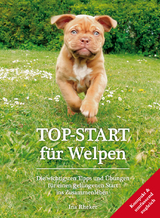 TOP-START für Welpen - Ina Rheker