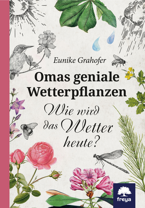 Omas geniale Wetterpflanzen - Eunike Grahofer