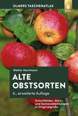 Alte Obstsorten - Hartmann, Walter