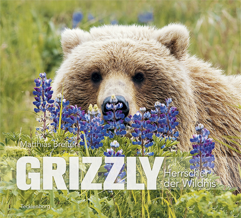 Grizzly - Matthias Breiter