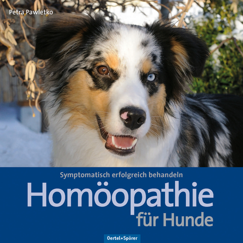 Homöopathie für Hunde - Petra Pawletko
