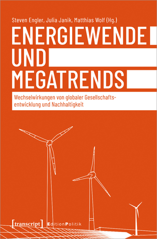 Energiewende und Megatrends - Steven Engler; Julia Janik; Matthias Wolf