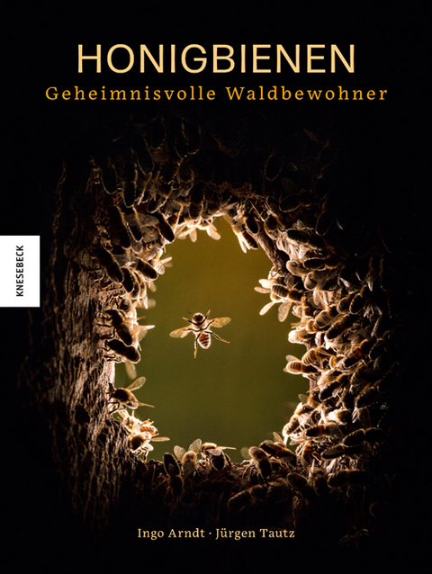Honigbienen - geheimnisvolle Waldbewohner - Ingo Arndt, Jürgen Tautz