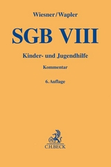 SGB VIII - Wiesner, Reinhard; Wapler, Friederike
