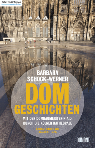Dom-Geschichten - Barbara Schock-Werner; Joachim Frank