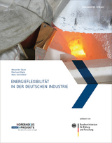 Energieflexibilität in der deutschen Industrie - 