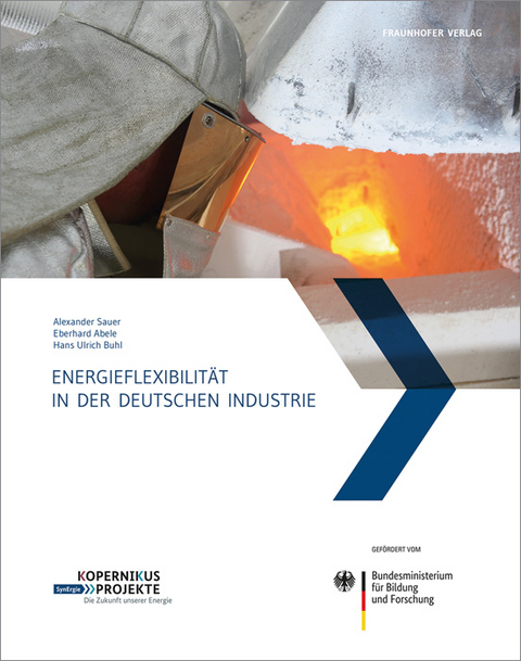 Energieflexibilität in der deutschen Industrie - 