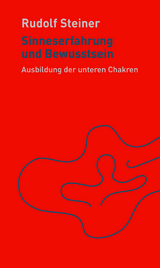 Sinneserfahrung und Bewusstsein - Rudolf Steiner