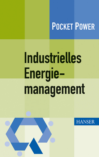 Industrielles Energiemanagement - Robert Schmitt; Sebastian Günther