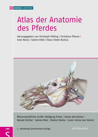 Atlas der Anatomie des Pferdes - BUDRAS ANATOMIE; Christoph Mülling; Christiane Pfarrer; Sven Reese et al. (Hrsg.)