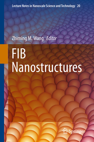 FIB Nanostructures - Zhiming M. Wang; Zhiming M. Wang