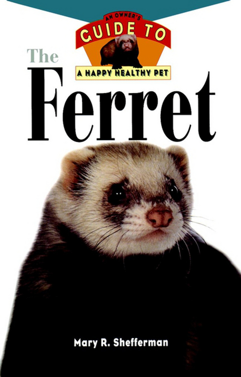 Ferret -  Mary R. Shefferman