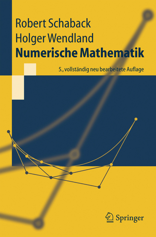 Numerische Mathematik - Robert Schaback; Holger Wendland