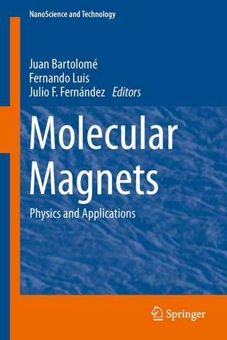 Molecular Magnets - Juan Bartolomé; Sanjoaquin Juan Bartolome; Fernando Luis; Fernando Luis; Julio F. Fernández; Julio F. Fernández