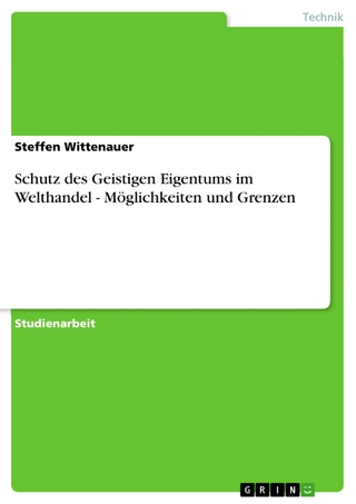 Schutz des Geistigen Eigentums im Welthandel - Möglichkeiten und Grenzen - Steffen Wittenauer