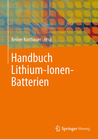Handbuch Lithium-Ionen-Batterien - Reiner Korthauer; Reiner Korthauer
