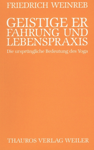 Geistige Erfahrung und Lebenspraxis - Friedrich Weinreb; Christian Schneider