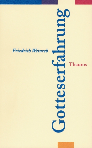 Gotteserfahrung - Friedrich Weinreb; Christian Schneider