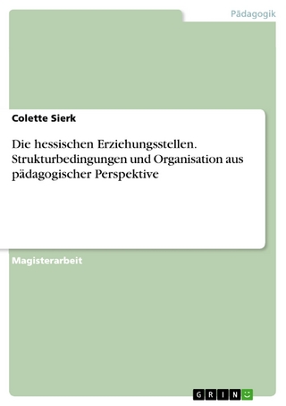 Die hessischen Erziehungsstellen. Strukturbedingungen und Organisation aus pädagogischer Perspektive - Colette Sierk