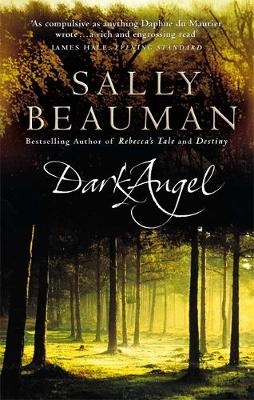 Dark Angel - Sally Beauman