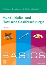 BASICS Mund-, Kiefer- und Plastische Gesichtschirurgie - Holtmann, Henrik; Hackenberg, Berit; Wilhelm, Sven Bastian; Handschel, Jörg