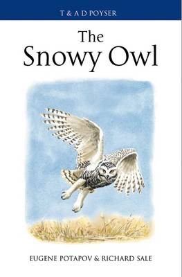 Snowy Owl - Potapov Eugene Potapov; Sale Richard Sale