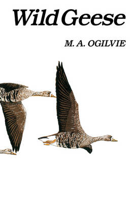 Wild Geese - Ogilvie M. A. Ogilvie
