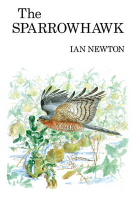 Sparrowhawk - Newton Ian Newton
