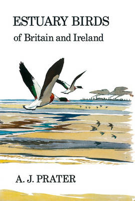 Estuary Birds of Britain and Ireland - Prater A.J Prater