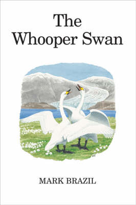 Whooper Swan - Brazil Mark Brazil