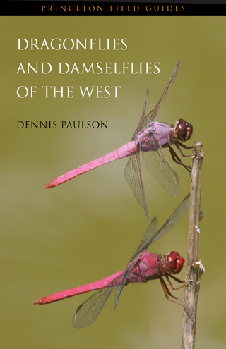 Dragonflies and Damselflies of the West - Dennis Paulson