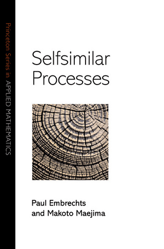 Selfsimilar Processes - Paul Embrechts