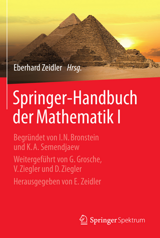 Springer-Handbuch der Mathematik I - Eberhard Zeidler; Eberhard Zeidler
