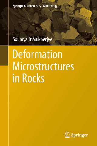Deformation Microstructures in Rocks - Soumyajit Mukherjee